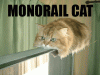 monorailcat.gif