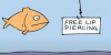 fish meme.png