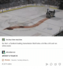 rib-hockey-time-machine-fun-fact-a-zamboni-leaking-transmission-fluid-looks-28587595.png