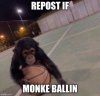 monke.jpg