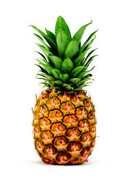 Pineapple//