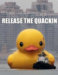 RubberDucks