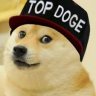 DubstepDoge