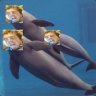 Salty Porpoise