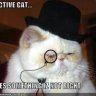 Detective Cat