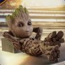 Groot2