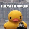 RubberDucks