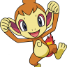 Chimchar