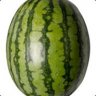 SoftWatermelons